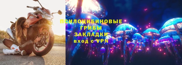каннабис Новодвинск